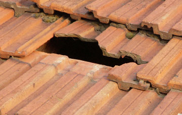 roof repair Stubble Green, Cumbria